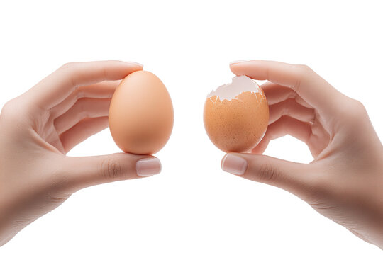 Whole egg and cracked eggshell comparison held in hands isolated on transparent background