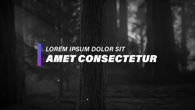 Colorful Text Animations