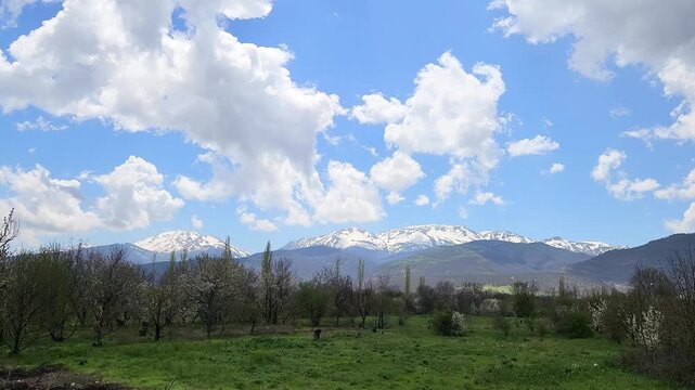 A distant view of the snow-capped peaks of Sultandağı through the blooming cherry orchards in spring