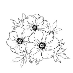 Fototapeta premium Vector black and white floral composition, bouquet of hand drawn anemone flowers, leaves.