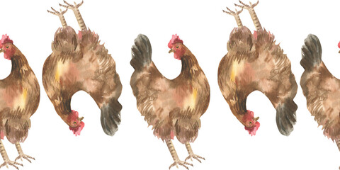 Brown domestic hen watercolor seamless border. Hand drawn domestic yarn bird banner, poultry animals clipart for product packing, farm poster, organic food design © Evgeniya