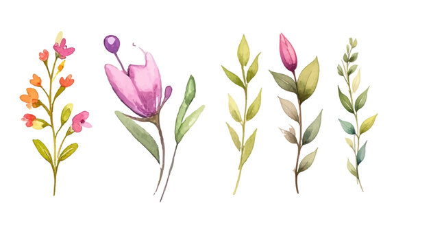 Set of Delicate watercolor illustrations of blooming flowers and green foliage, perfect for spring and nature themes