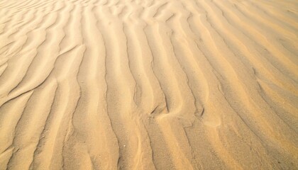 Fototapeta premium Abstract texture of natural rippled desert sand dunes
