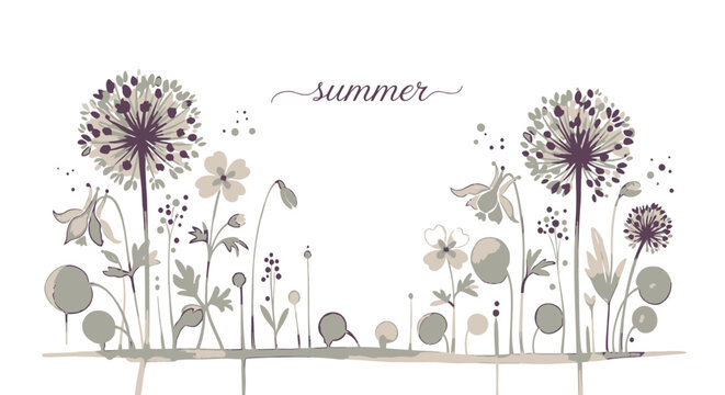 Summer floral vector illustration, dandelion flowers, botanical design elements, decorative border