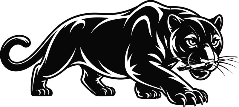 panther, silhouette, vector, illustration, black, predator, animal, wildlife, big cat, hunting, aggressive, nature, wild, design, graphic, isolated, strength, power, fierce, background