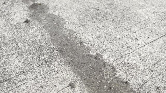 Tire Tracks on Concrete Road Surface