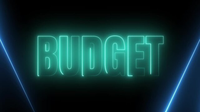 Financial Budget Neon Sign with Color Changing Glowing Effect 4k video