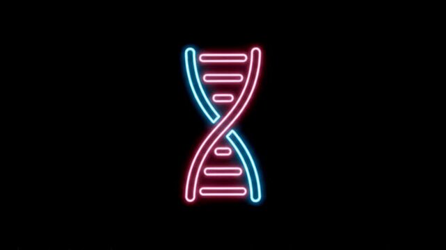 Neon glowing DNA double helix structure in vibrant blue and pink against a dark background, representing genetics and biology.