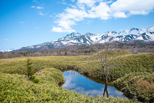世界自然遺産 知床五湖と冠雪した知床連峰のリフレクション（Reflection of Shiretoko Mountains and Shiretoko Five Lakes, World Heritage）