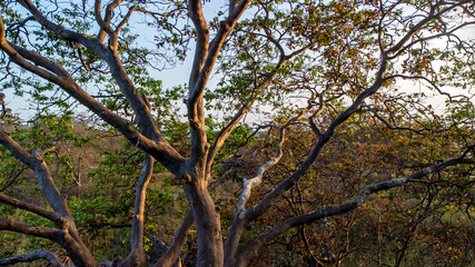 Fototapeta premium Moments of birds 