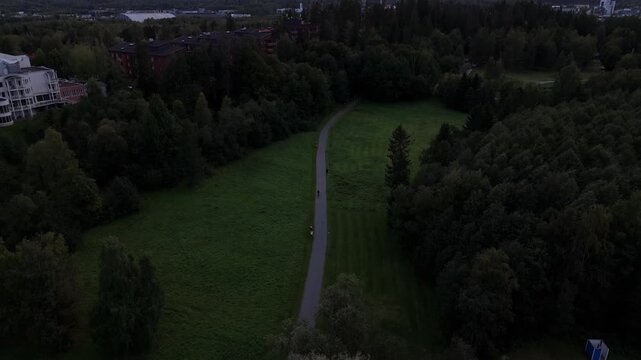 Aerial view of park path in Nuuksio National Park Espoo Finland with trees and walkers, distant water and soft dusk light creating calm outdoor natural environment