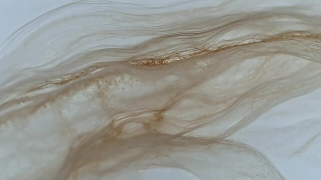 Closeup of porous textured object