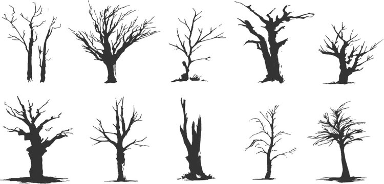 Collection of spooky dead leafless tree silhouettes bare branches winter forest nature landscape vector illustration.