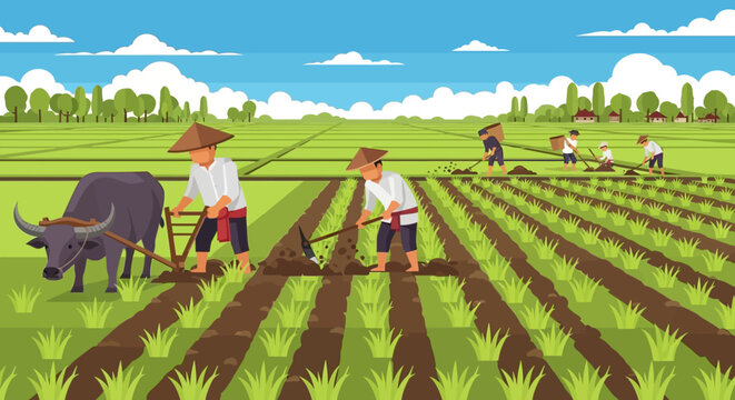 Farmers working in rice paddies with water buffalo.