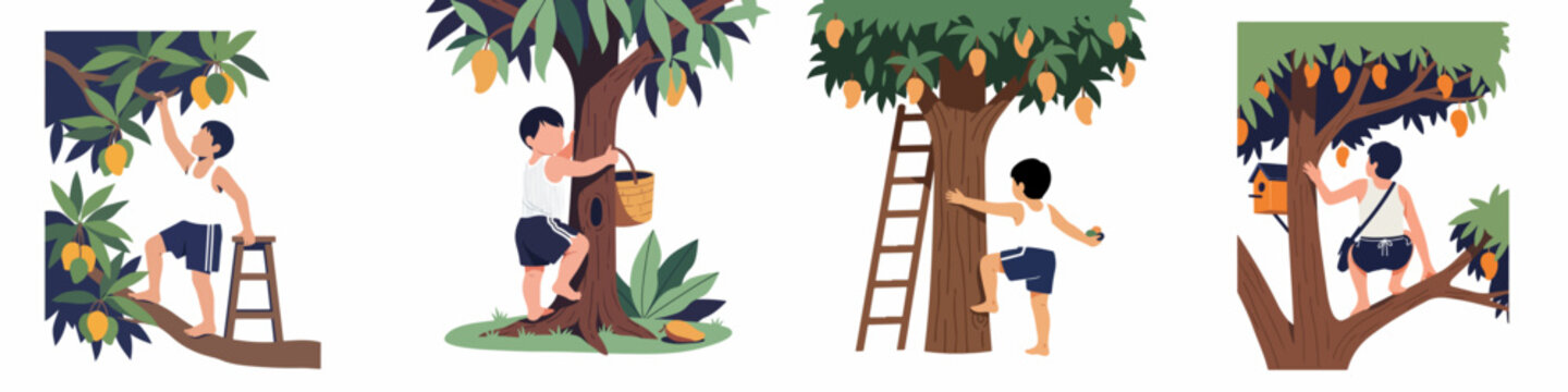 Set of flat vector illustrations depicting a young boy climbing mango trees and harvesting ripe fruits in various outdoor scenes.