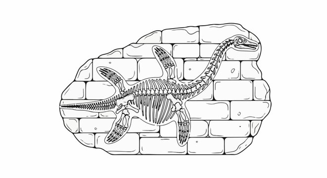 Fossilized aquatic reptile skeleton embedded in rough-hewn stone blocks
