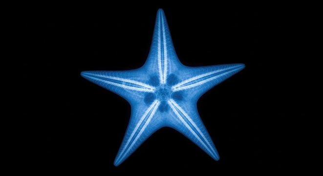 Glowing Blue Starfish Isolated on Black Background