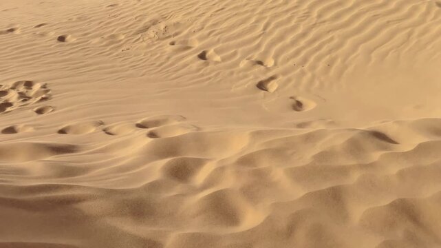 Close up of wind blowing over sand dune in the desert.