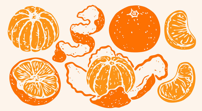 Delicious Tangerine set. Ripe orange mandarin satsuma fruit. Whole, sliced, peeled, piece, skin. Hand drawn trendy Vector illustration. Isolated design elements. Tasty, healthy food concept