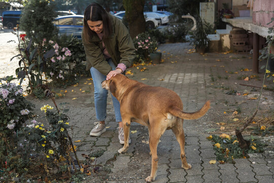 Woman gently pets a homeless dog on a city street, showing compassion and care for a stray animal. Urban scene highlights kindness, animal welfare, volunteering, and social responsibility