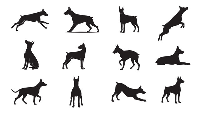 Doberman Pinscher Silhouette Set, Athletic Guard Dog Poses, Running, Jumping, Standing, and Sitting Canine Vector Graphics for Kennel Branding