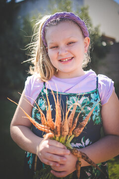 Child holding freshly harvested carrots in garden