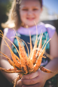 Child holding freshly harvested root vegetables