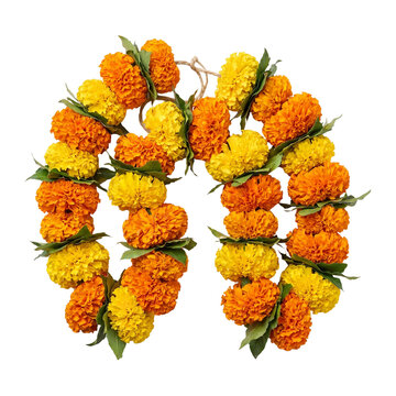 Traditional marigold flower garland, orange and yellow toran with green leaves, festive Indian floral decoration for Diwali and weddings isolated on Transparent Background