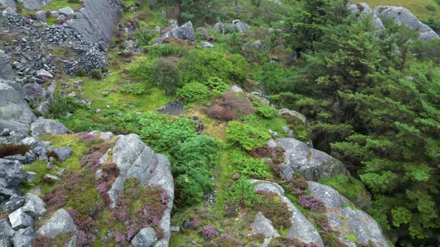Aerial of a a rocky hill with trees and shrubs nex tot the sea 4k drone