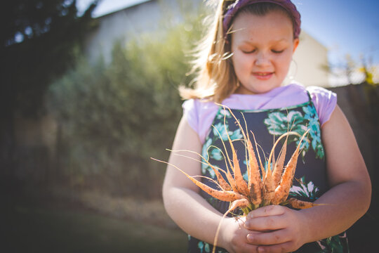 Child holding dried plant in home garden