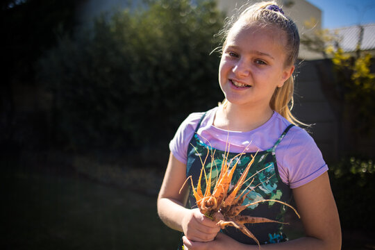 Young girl holding freshly harvested root vegetable