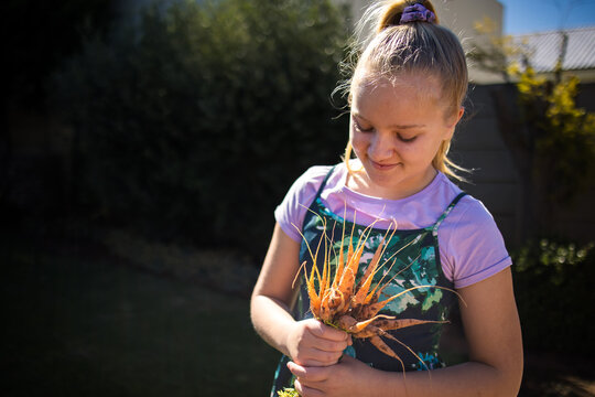 Young girl harvesting fresh vegetables from home garden