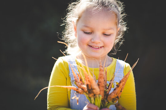 Young child examining dried garden flowers outdoors