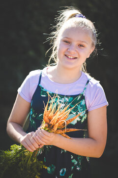 Girl holding freshly harvested carrots in garden