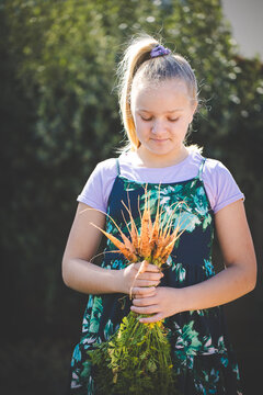 Young girl holding freshly harvested carrots