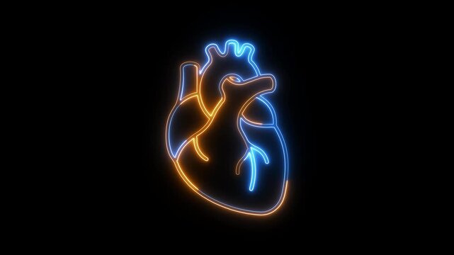 Anatomical hearts pulsate with vibrant neon energy in a radiant display of red, pink, and blue hues.
