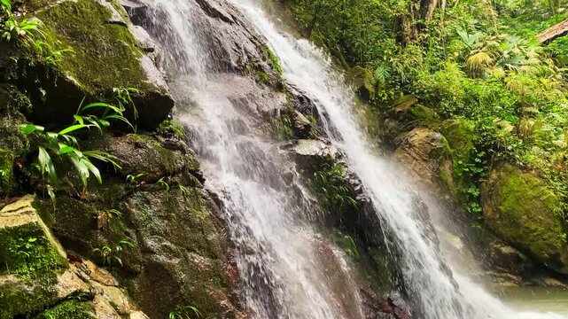 Medium close up of Marinka Waterfalls in Minca, Colombia. Bottom-to-top pan showing cascading water and vibrant tropical vegetation. Lush Sierra Nevada jungle landscape. Cinematic nature reveal.