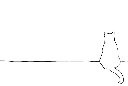 cat postcard