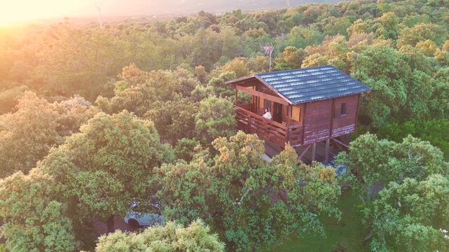 Drone pulling away from treehouse in vast forest at sunset, aerial reveal of nature landscape and eco living concept