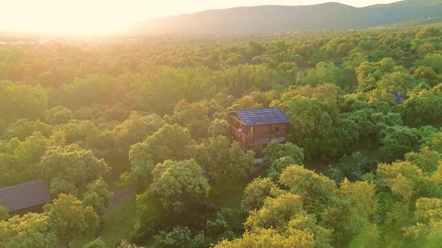 Drone pulling away from treehouse in vast forest at sunset, aerial reveal of nature landscape and eco living concept