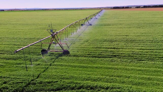 Aerial close view of center pivot irrigation system watering green field in Castilla La Mancha, rotating sprinklers and sustainable agriculture concept