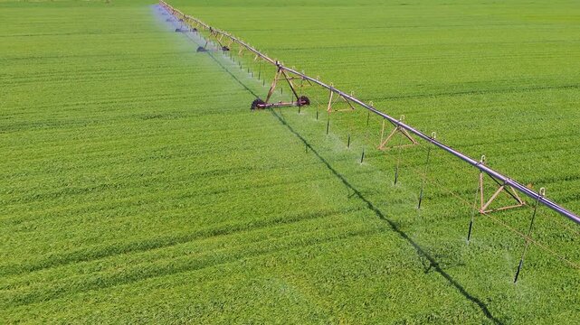 Aerial close view of center pivot irrigation system watering green field in Castilla La Mancha, rotating sprinklers and sustainable agriculture concept
