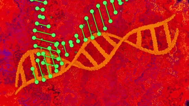 Green markers entering corners nesting into orange helix pushing strand right forming bond lattice