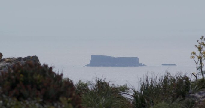 Distant view of a flat-topped rocky island in a hazy, calm sea, seen from a high cliff with blurred foreground vegetation.