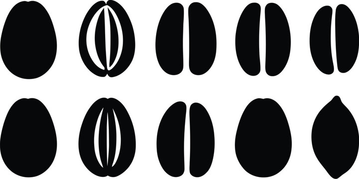 Vector Cocoa Bean Icon Set Chocolate Ingredient Agriculture Cocoa Plant Logo Collection Symbols