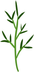 Obraz premium bamboo and leaves