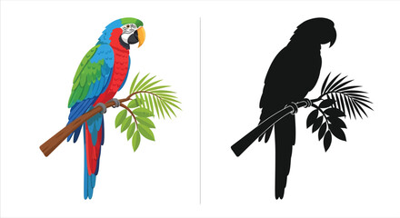 Colorful macaw parrot and its black silhouette perched on a branch © AMENA KHATUN