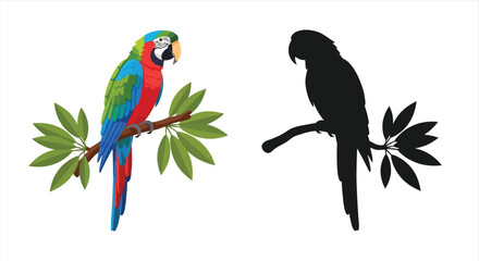 Colorful macaw parrot alongside its stark black silhouette on branches © AMENA KHATUN
