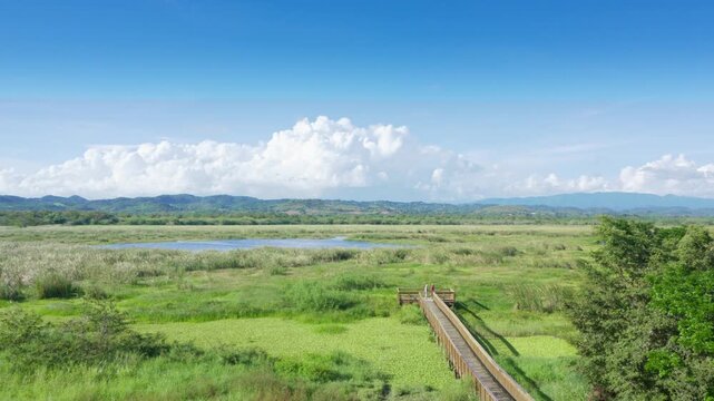 Wooden bridge and loud timelapse  on the Cartagena Lagoon, Lajas, puerto Rico.