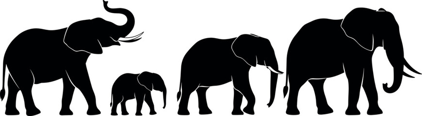 Black Silhouette Elephant Family Set with Baby and Adult Walking in a Row for Wildlife, Safari, and Animal Design Projects © MstTazmina